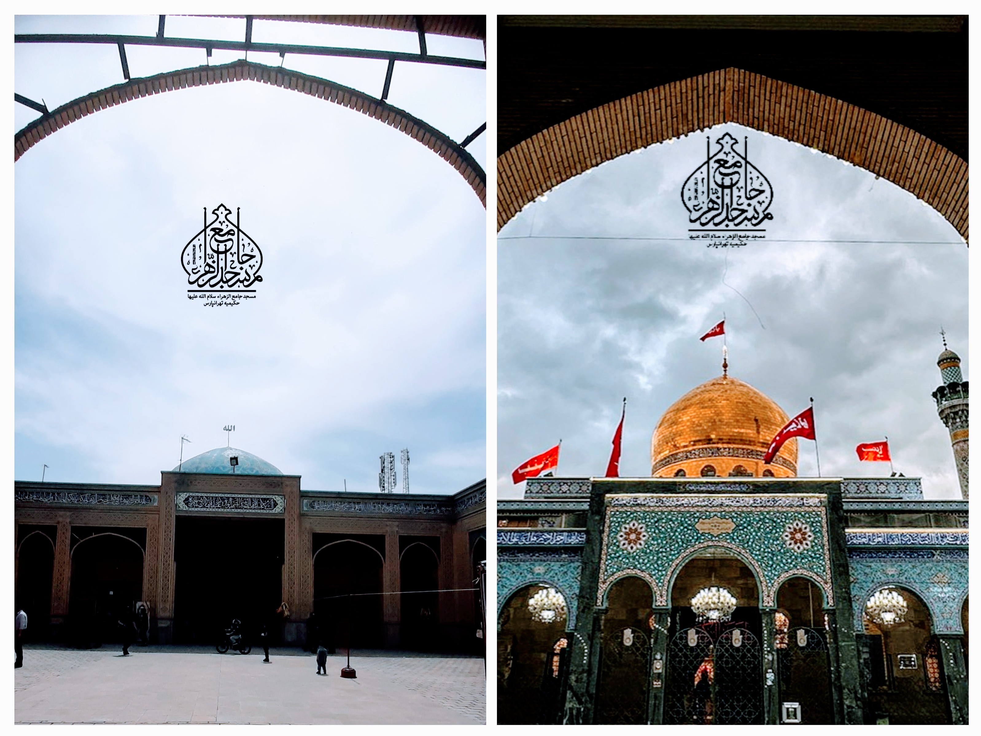 _______________-COLLAGE_2