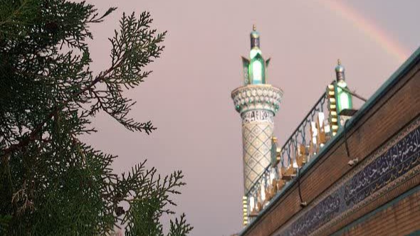 تصویر گالری